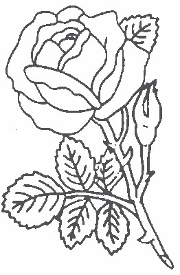 rose5 (262x400, 73Kb)