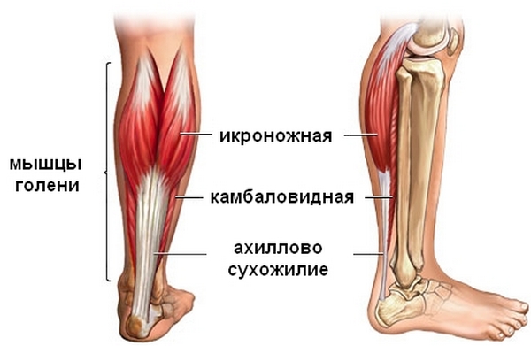 История болезни острого гангренозного