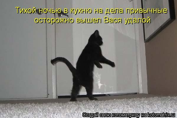 kotomatritsa_tr (600x402, 90Kb)