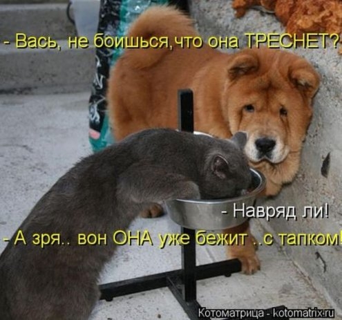 original (19) (495x463, 125Kb)