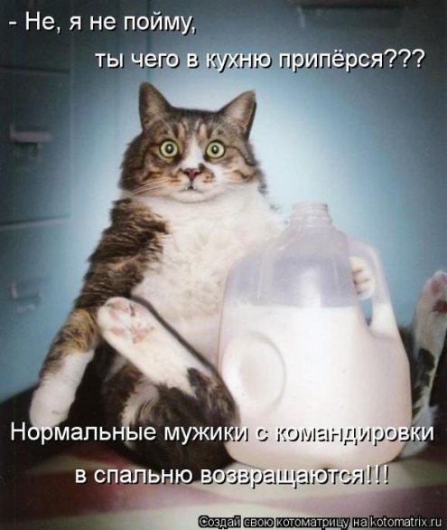 original (21) (495x586, 133Kb)