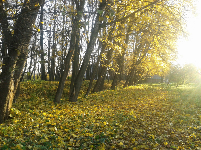 осень в Ясной Поляне (700x525, 628Kb)