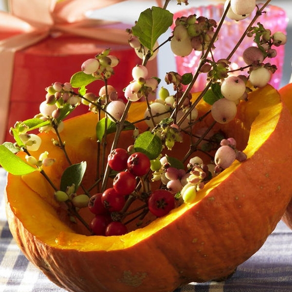 autumn-berries-bouquet-ideas3-3 (600x600, 256Kb)