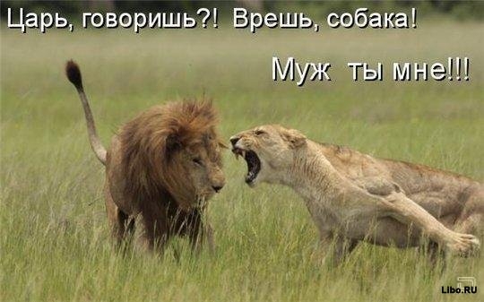 original (20) (540x337, 101Kb)