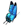 e1086b14b186 (120x120, 12Kb)