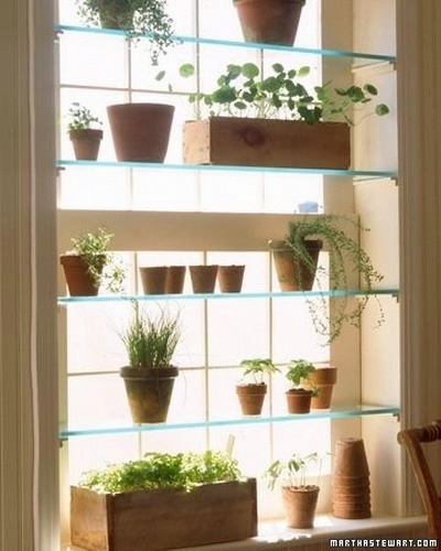 window-shelves-ideas-for-plants1-2 (400x500, 95Kb)