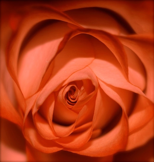 fec096a305a6888361c82e25eb717599 (522x550, 114Kb)