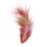 2 (41x47, 2Kb)