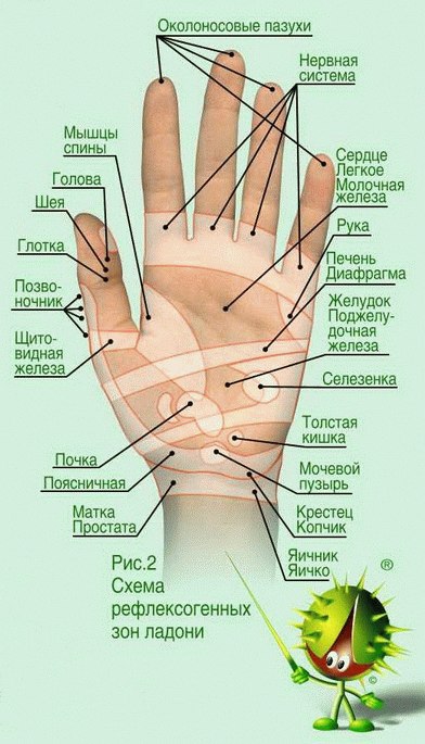 Итересности в медицине 107474897_large_4524271_8e198aa4e7484bf686de1ea2a52a0db0_b