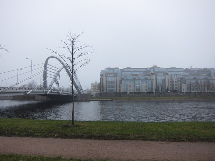 Лазаревский мост с Петроградской стороны. Ноябрь 2013