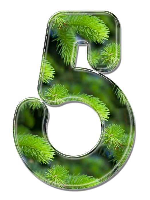 5 (524x700, 383Kb)