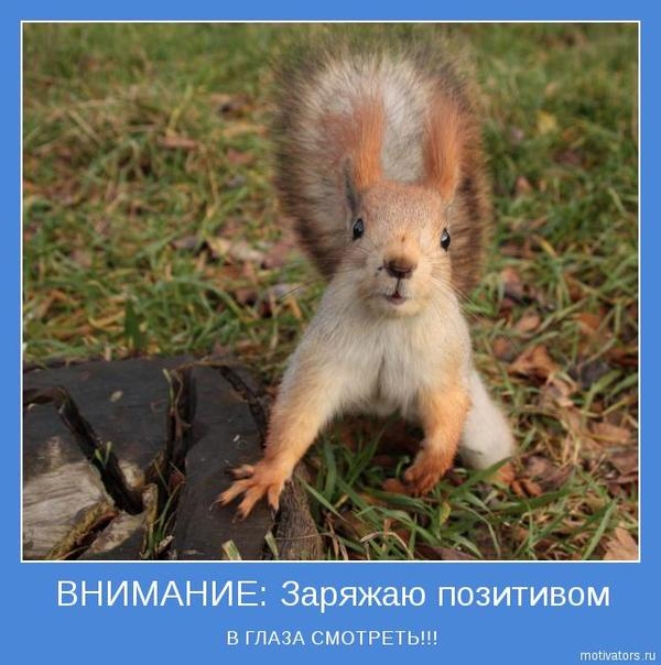 1364970724_www.radionetplus.ru-8 (600x604, 172Kb)