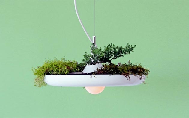 02-Stunning-Hanging-Babylon-Plantable-Light-Fixture (630x394, 69Kb)