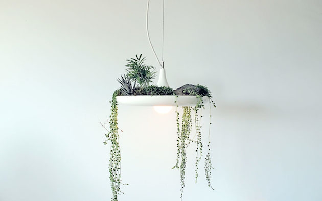 07-Stunning-Hanging-Babylon-Plantable-Light-Fixture (630x394, 67Kb)