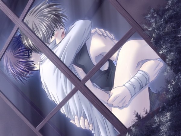 3085367415_1_3_pldbcvkT (600x450, 136Kb)