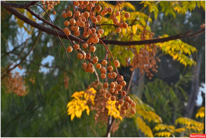 6c2bc010e2c2bddb3f9ca170ac291085 (700x467, 414Kb)