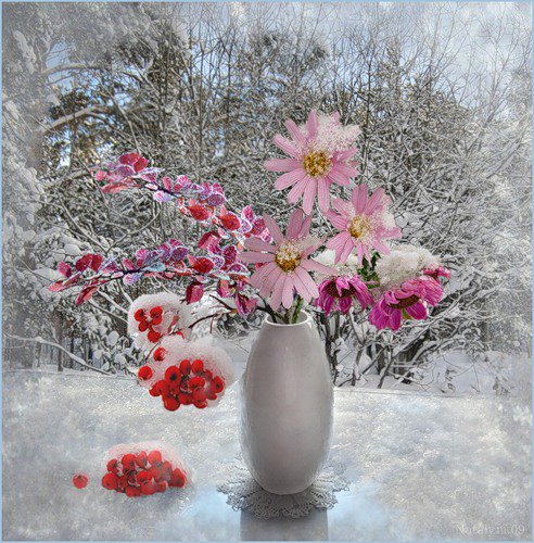Натюрморт Аромат зимы picture (492x500, 90Kb)
