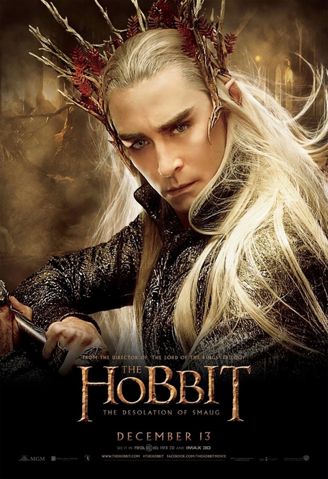 hobbit2_poster13 (480x700, 275Kb)