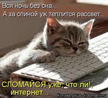 Новогодняя котоматрица kotomatritsa_Gd (450x411, 109Kb)