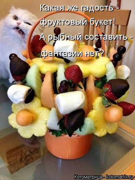 Новогодняя котоматрица kotomatritsa_Ig (468x625, 135Kb)