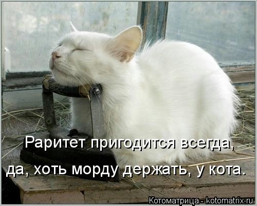 Новогодняя котоматрица kotomatritsa_R3 (500x402, 91Kb)