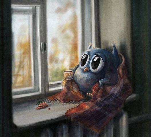 ImPvFNUdgr0 (527x480, 43Kb)