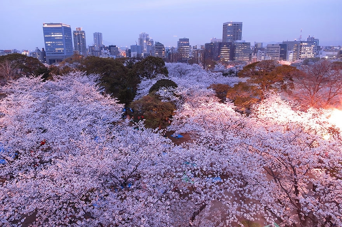 4 (700x466, 339Kb)