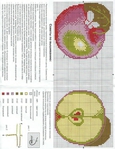  Igolqnica_qbloko_687_(shema) (539x700, 366Kb)