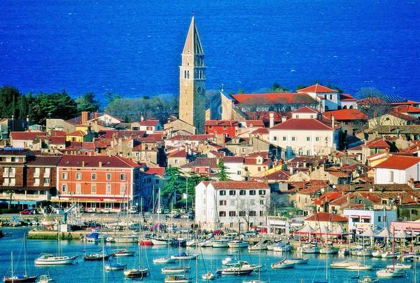 3085196_big_izola_1 (600x404, 70Kb)