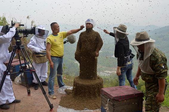 Китаец установил рекорд с 460 тысячами пчел и минимумом укусов