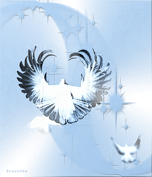 голубь-1-7 (500x582, 582Kb)