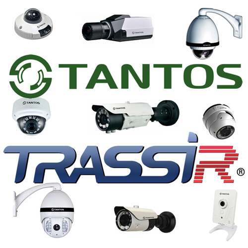 trassir (500x500, 60Kb)