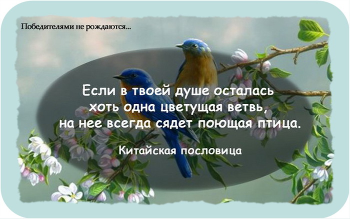 Что такое счастье китайские пословицы Что такое счастье китайские пословицы