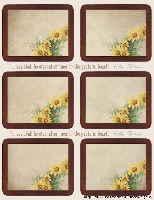 Yellow daisies ~ wooden frame journal cards ~ lilac-n-lavender (541x700, 272Kb)