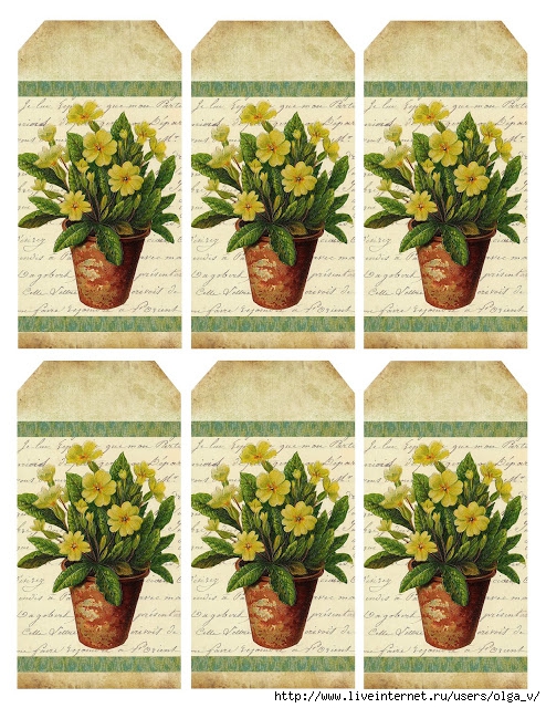 grungy texture yellow primrose tags (494x640, 336Kb)