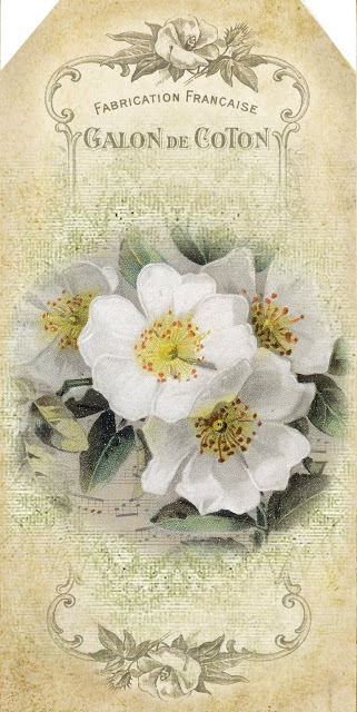 grungy texture white roses tag (2) (321x640, 215Kb)