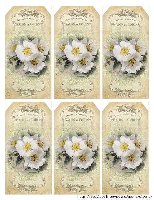 grungy texture white roses tags (494x640, 286Kb)