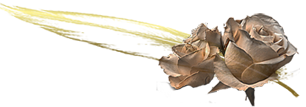 d-msh.com_1362337681_154 (306x107, 39Kb)