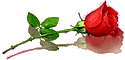 98004864_e39450899e0f2c8023ea26ab83e884cd (125x60, 2Kb)
