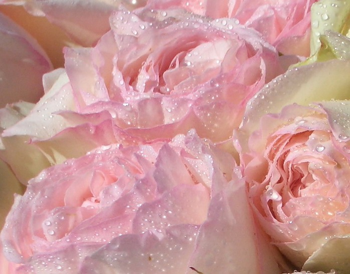 1827016_0_2fad_5b3b4988_XL (700x548, 90Kb)