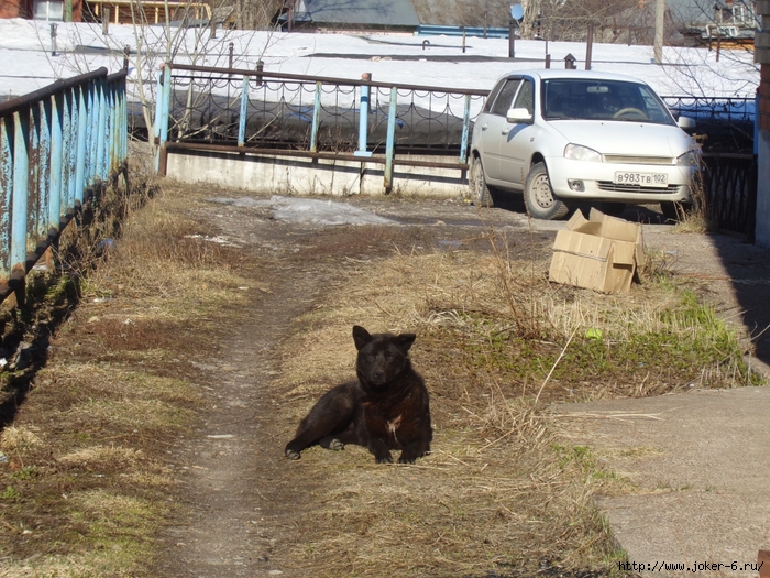 Вспоминая это лето DSC01558_1000x750 (700x525, 396Kb)