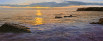 97627640_3623822_navarromoodynewmastersgallery (698x282, 280Kb)