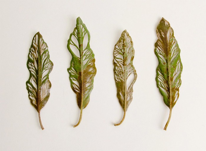 Художница Хиллари Фейл вышивает на листьях растений