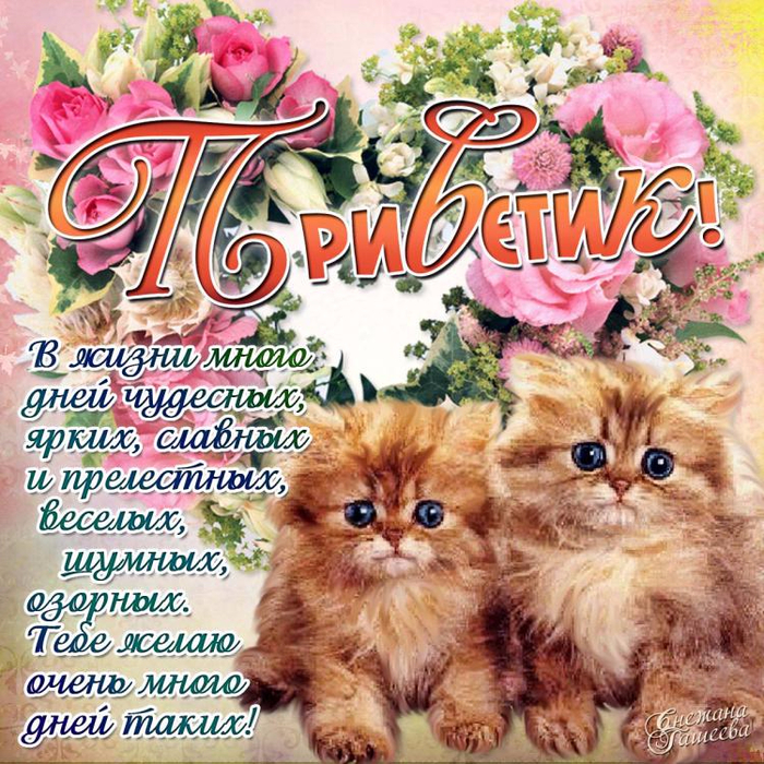Картинки приветы и поздравления с Картинки приветы и поздравления с