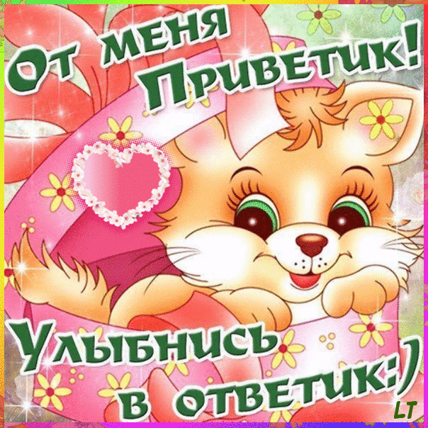 Красивая открытка с приветом Красивая открытка с приветом