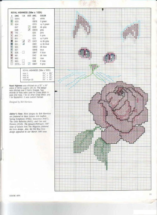 котенок и цветы5 (509x700, 310Kb)