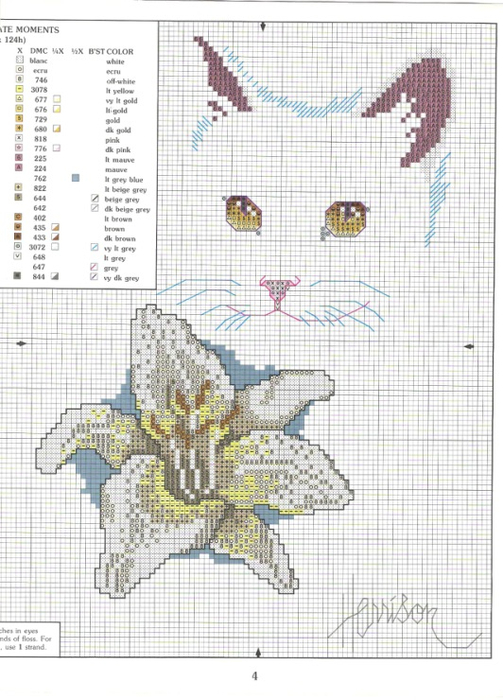 котенок и цветы11 (503x700, 341Kb)