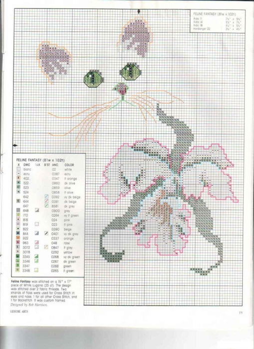 котенок и цветы14 (509x700, 346Kb)