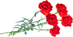 0_7db74_383948e0_S (150x76, 19Kb)