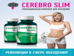 Превью SerebroSlim (400x300, 197Kb)